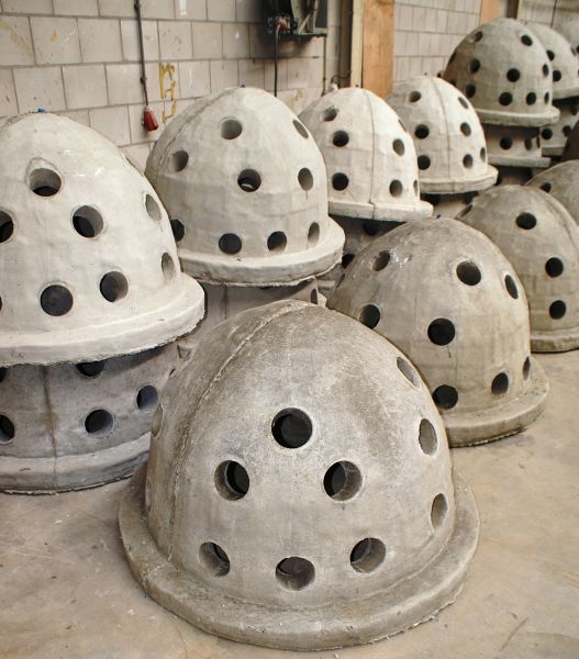 Natuurrif bij Markermeer