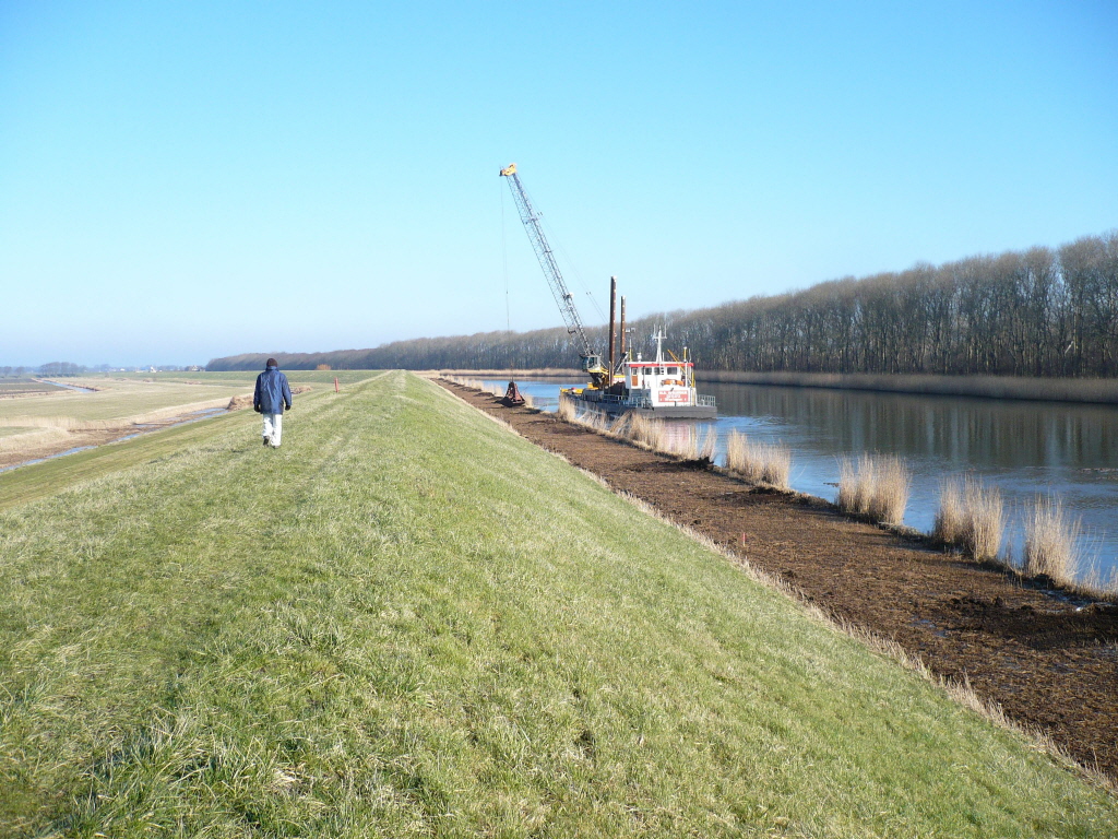 Oud riet langs Waard- en Groetkanaal wordt afgevoerd