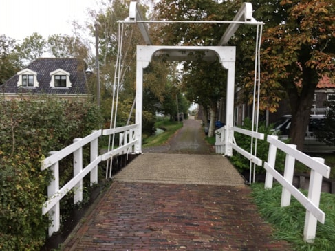 WhatsApp Image 2026-02-19 at 10.46.48